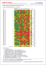 ILSA Screening rechnergestützte Auswertung